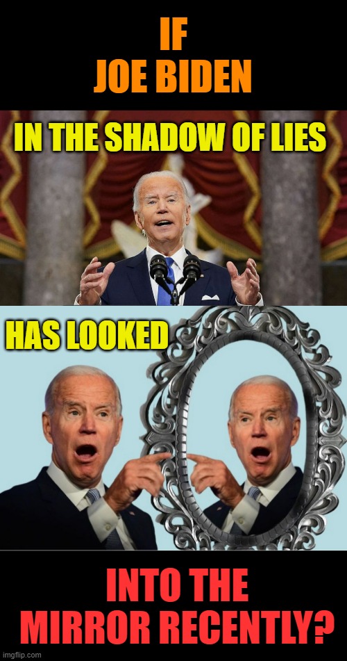 One Really Does Have To Wonder | IF JOE BIDEN; IN THE SHADOW OF LIES; HAS LOOKED; INTO THE MIRROR RECENTLY? | image tagged in memes,politics,shadow,lies,joe biden,mirror | made w/ Imgflip meme maker