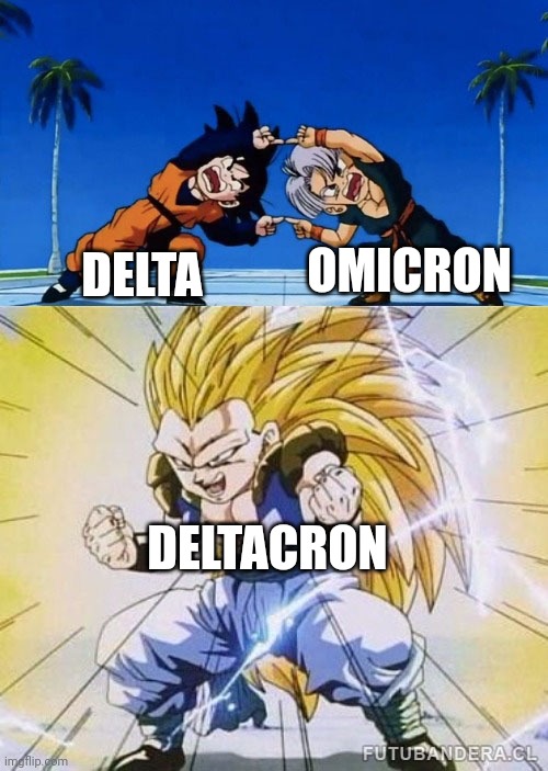 DBZ FUSION | OMICRON; DELTA; DELTACRON | image tagged in dbz fusion | made w/ Imgflip meme maker
