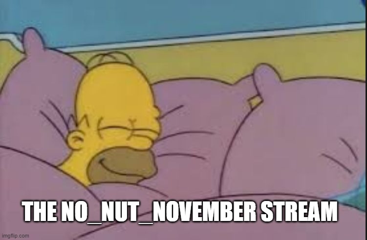 another 10 months | THE NO_NUT_NOVEMBER STREAM | image tagged in how i sleep homer simpson | made w/ Imgflip meme maker