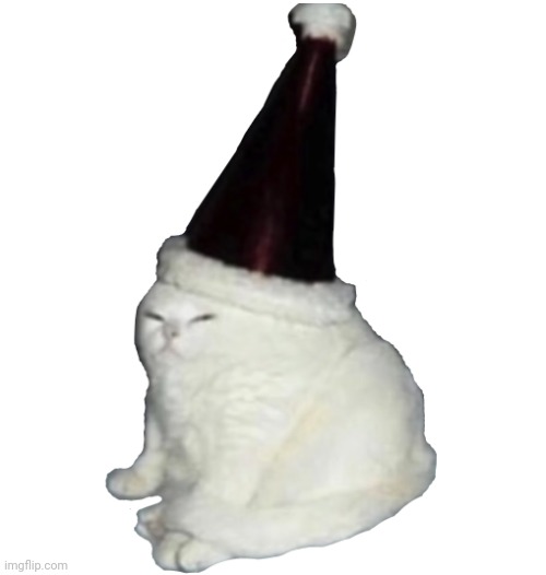 Cat party! | image tagged in party hat cat | made w/ Imgflip meme maker