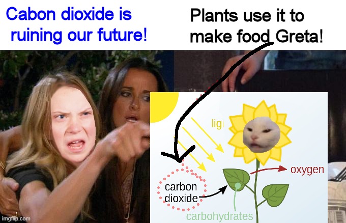 Greta Thunderbird learns plants need carbon dioxide | image tagged in carbon dioxide,climate change,angry greta | made w/ Imgflip meme maker