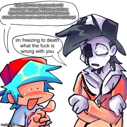 I'm freezing to death what the frick is wrong with you | If you shit in the sink at exactly 4:20 am and yell “amogus” 69 times,a shadowy figured called mom will come to beat you up and you will wake up in a place called the orphanage | image tagged in i'm freezing to death what the frick is wrong with you | made w/ Imgflip meme maker