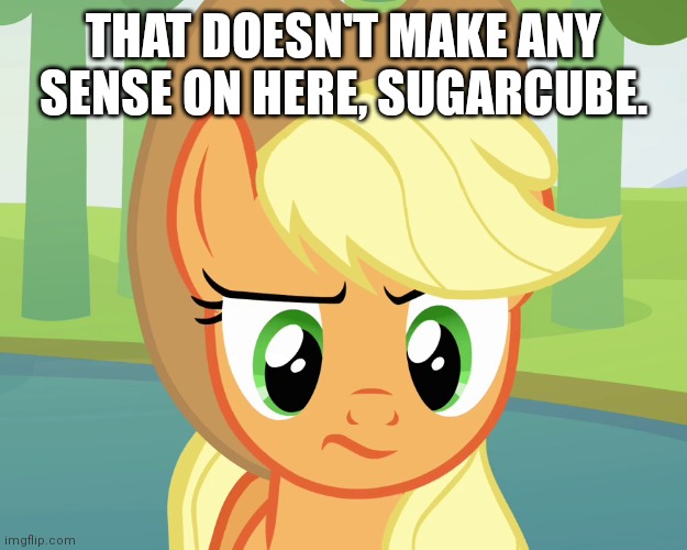 THAT DOESN'T MAKE ANY SENSE ON HERE, SUGARCUBE. | made w/ Imgflip meme maker