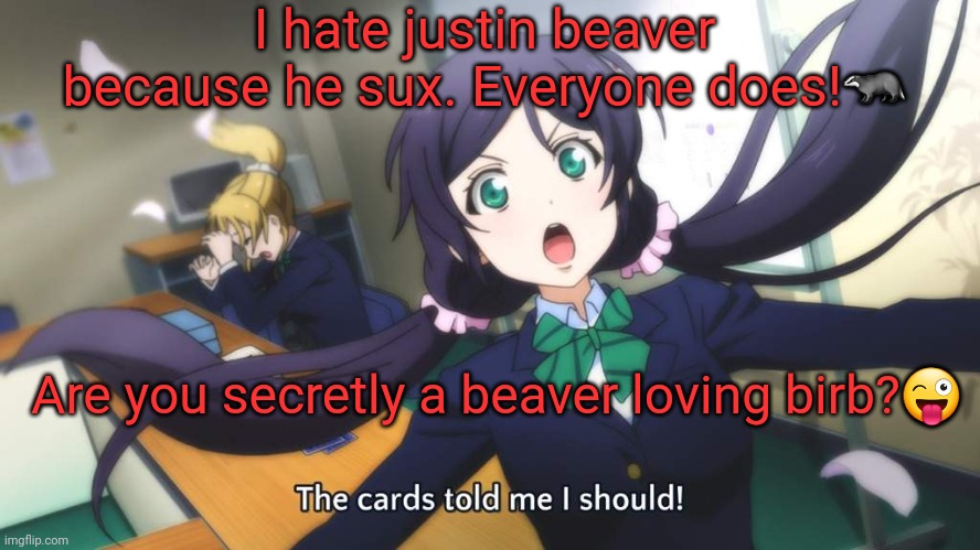 The cards me I should! | I hate justin beaver because he sux. Everyone does!? Are you secretly a beaver loving birb?? | image tagged in the cards me i should | made w/ Imgflip meme maker