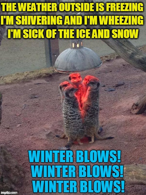 New Lyrics to "Let It Snow" | image tagged in vince vance,winter,memes,i'm freezing,baby it's cold outside,i hate winter | made w/ Imgflip meme maker