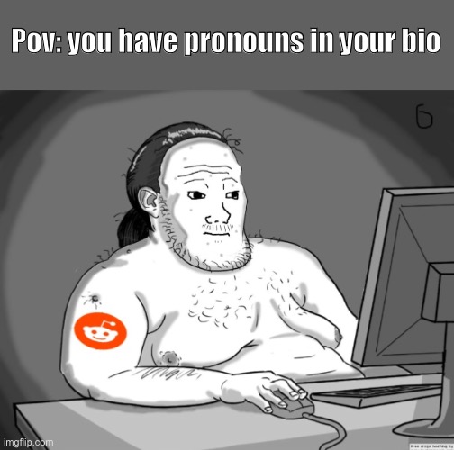 She has green hair and pronouns. | Pov: you have pronouns in your bio | image tagged in average redditor | made w/ Imgflip meme maker