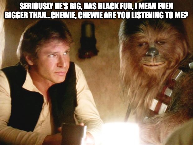 Are you paying attention | SERIOUSLY HE'S BIG, HAS BLACK FUR, I MEAN EVEN BIGGER THAN...CHEWIE, CHEWIE ARE YOU LISTENING TO ME? | image tagged in han solo chewbacca | made w/ Imgflip meme maker