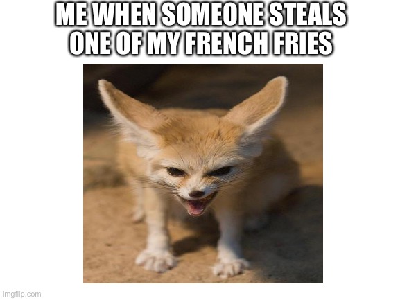 Just don’t | ME WHEN SOMEONE STEALS ONE OF MY FRENCH FRIES | image tagged in french fries,fast food,fox | made w/ Imgflip meme maker