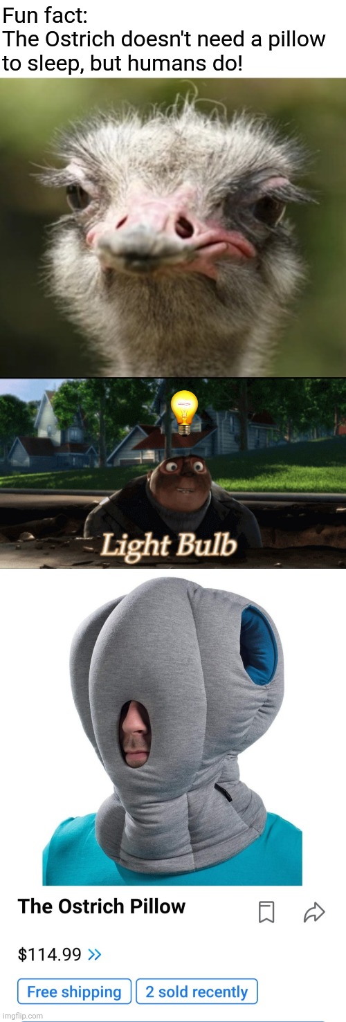 Bird-brained idea? | Fun fact:
The Ostrich doesn't need a pillow to sleep, but humans do! | image tagged in ostrich,pillow,gru,lightbulb,stupid,idea | made w/ Imgflip meme maker