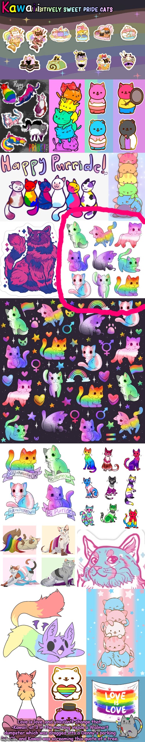 PRIDE CATS FUR LIFE, Y O L O | image tagged in pride cats fur life y o l o | made w/ Imgflip meme maker