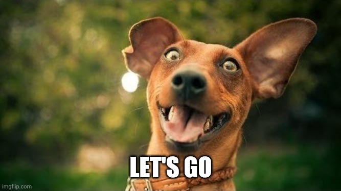 excited dog are you here yet | LET'S GO | image tagged in excited dog are you here yet | made w/ Imgflip meme maker