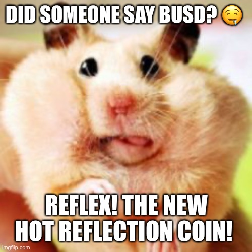 when the gag reflex set in.. | DID SOMEONE SAY BUSD? 🤤; REFLEX! THE NEW HOT REFLECTION COIN! | image tagged in when the gag reflex set in,ReflexFinance | made w/ Imgflip meme maker