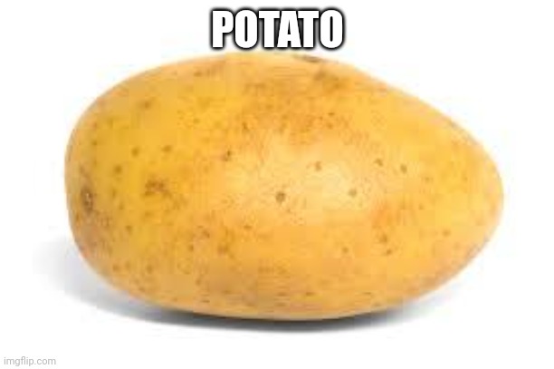 Potato | POTATO | image tagged in potato | made w/ Imgflip meme maker