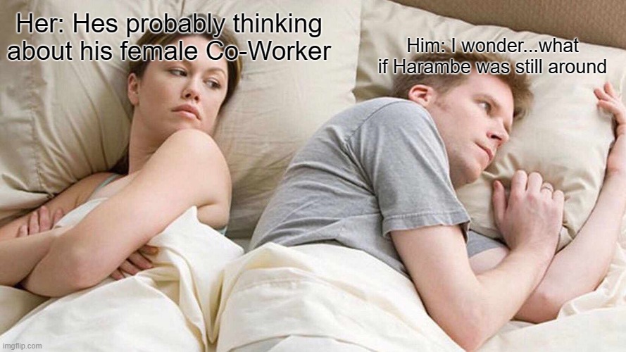 I Bet He's Thinking About Other Women | Her: Hes probably thinking about his female Co-Worker; Him: I wonder...what if Harambe was still around | image tagged in memes,i bet he's thinking about other women | made w/ Imgflip meme maker