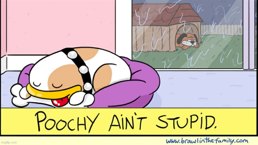 Poochy Ain't Stupid | image tagged in poochy ain't stupid | made w/ Imgflip meme maker