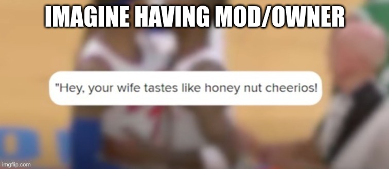 Hey your wife tastes like honey nut cheerios | IMAGINE HAVING MOD/OWNER | image tagged in hey your wife tastes like honey nut cheerios | made w/ Imgflip meme maker