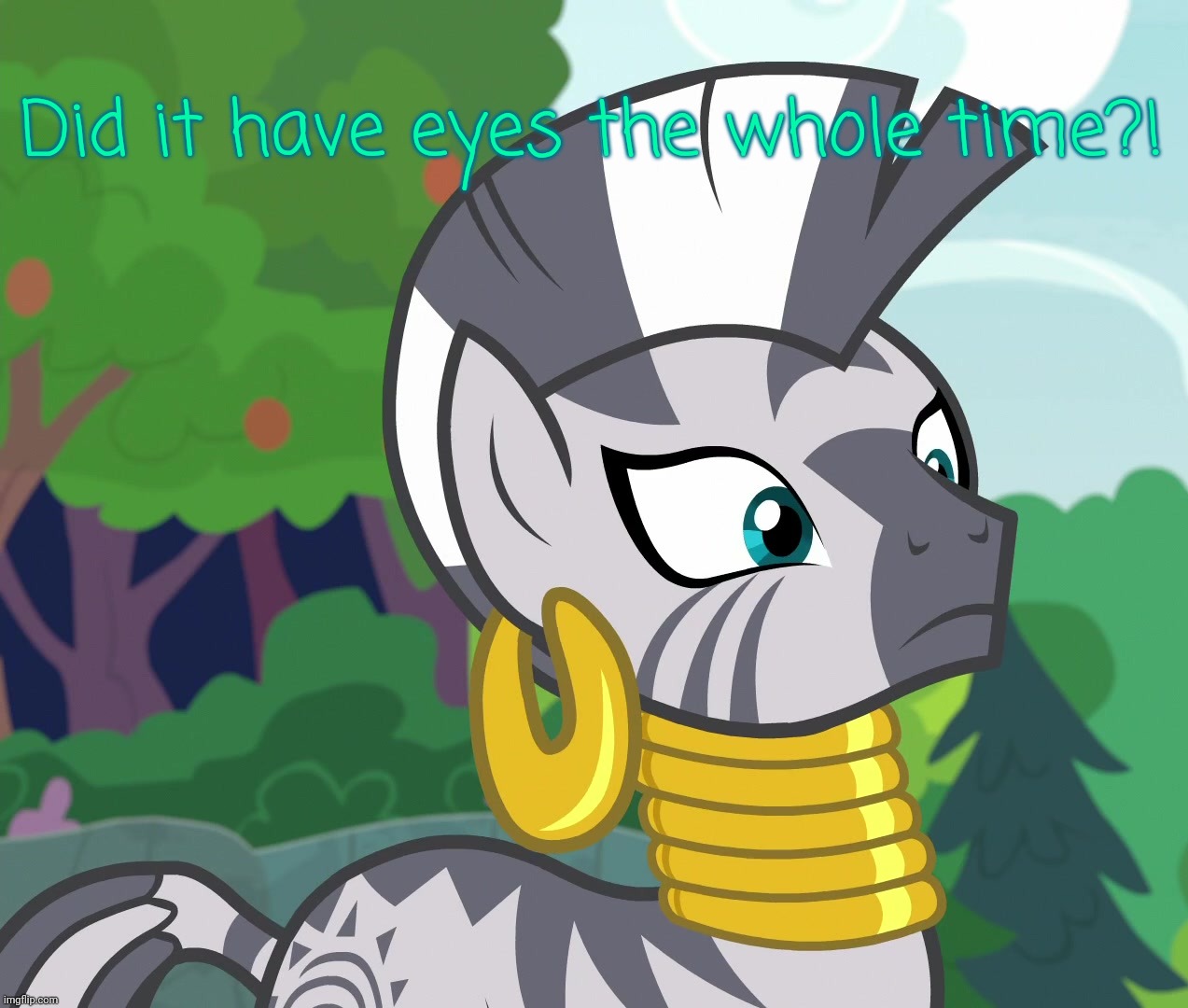 Concerned Zecora (MLP) | Did it have eyes the whole time?! | image tagged in concerned zecora mlp | made w/ Imgflip meme maker