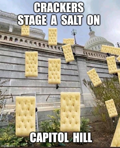 A salt on the capitol | CRACKERS  STAGE  A  SALT  ON; CAPITOL  HILL | image tagged in crackers,salt,capitol hill | made w/ Imgflip meme maker