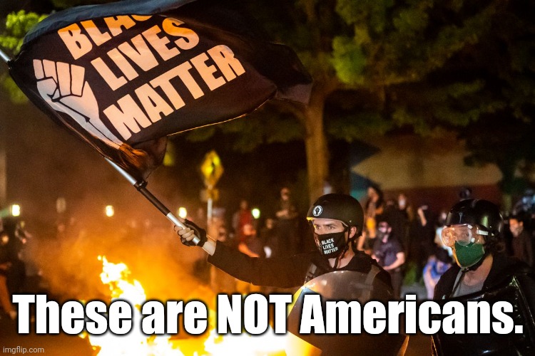 democrats being democrats | These are NOT Americans. | image tagged in democrats being democrats | made w/ Imgflip meme maker