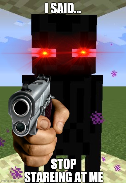 I SAID... STOP STAREING AT ME | image tagged in enderman | made w/ Imgflip meme maker