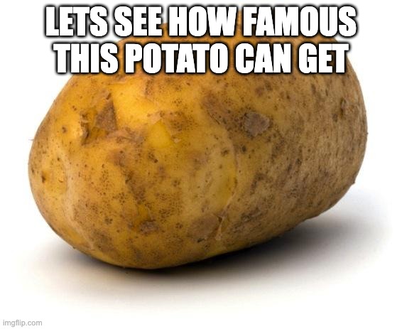 I am a potato | LETS SEE HOW FAMOUS THIS POTATO CAN GET | image tagged in i am a potato | made w/ Imgflip meme maker