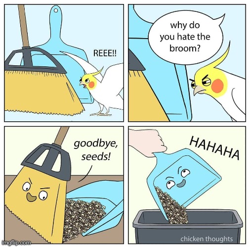 Broom | image tagged in broom,sweep,seeds,comics/cartoons,comics,comic | made w/ Imgflip meme maker