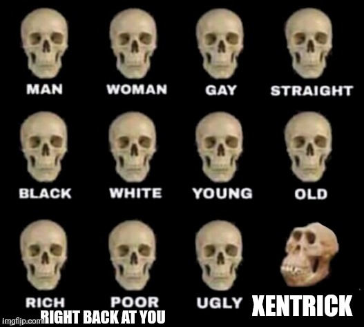 idiot skull | XENTRICK RIGHT BACK AT YOU | image tagged in idiot skull | made w/ Imgflip meme maker