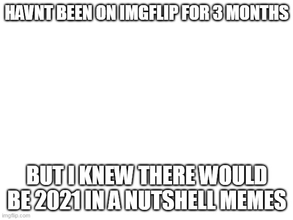 Blank White Template | HAVNT BEEN ON IMGFLIP FOR 3 MONTHS; BUT I KNEW THERE WOULD BE 2021 IN A NUTSHELL MEMES | image tagged in blank white template,happy new year | made w/ Imgflip meme maker