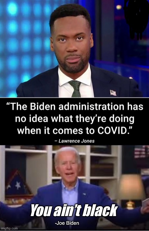 Joe has a plan | You ain’t black; -Joe Biden | image tagged in joe biden,politics lol,derp | made w/ Imgflip meme maker