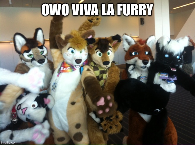 FURRIES | OWO VIVA LA FURRY | image tagged in furries | made w/ Imgflip meme maker