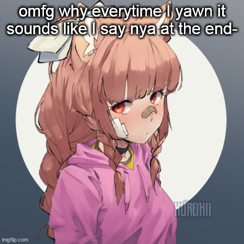 Ginger :3 | omfg why everytime I yawn it sounds like I say nya at the end- | image tagged in ginger 3 | made w/ Imgflip meme maker
