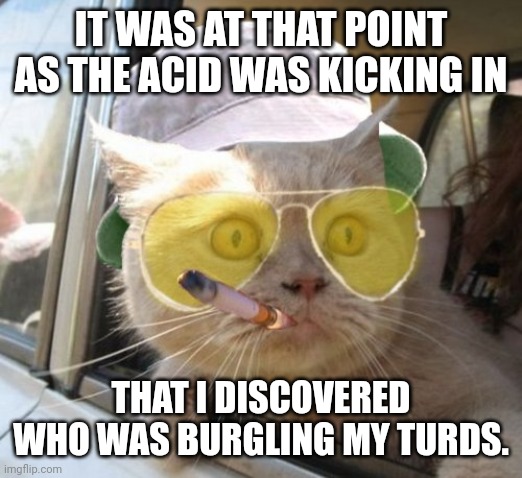 Fear and loathing turd burglar on acid | IT WAS AT THAT POINT AS THE ACID WAS KICKING IN; THAT I DISCOVERED WHO WAS BURGLING MY TURDS. | image tagged in memes,fear and loathing cat | made w/ Imgflip meme maker