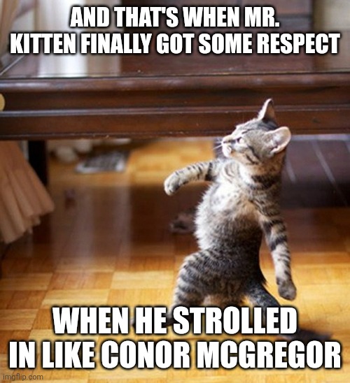 Conor mcgregor ufc strut kitten | AND THAT'S WHEN MR. KITTEN FINALLY GOT SOME RESPECT; WHEN HE STROLLED IN LIKE CONOR MCGREGOR | image tagged in cat walking like a boss | made w/ Imgflip meme maker