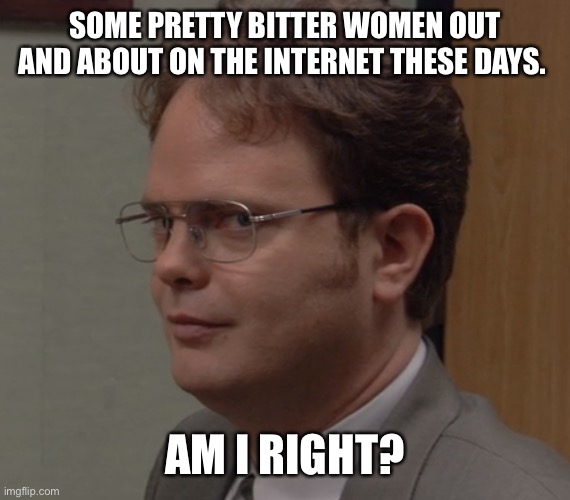 Bitter Women | SOME PRETTY BITTER WOMEN OUT AND ABOUT ON THE INTERNET THESE DAYS. AM I RIGHT? | image tagged in dwight | made w/ Imgflip meme maker