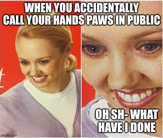 The awkward moment- | WHEN YOU ACCIDENTALLY CALL YOUR HANDS PAWS IN PUBLIC; OH SH- WHAT HAVE I DONE | image tagged in the what blank | made w/ Imgflip meme maker