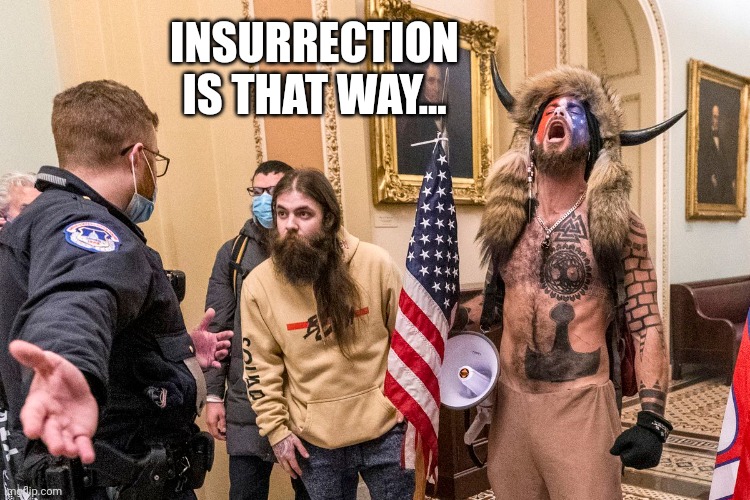 Insurrection | INSURRECTION IS THAT WAY... | made w/ Imgflip meme maker