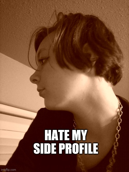 HATE MY SIDE PROFILE | made w/ Imgflip meme maker