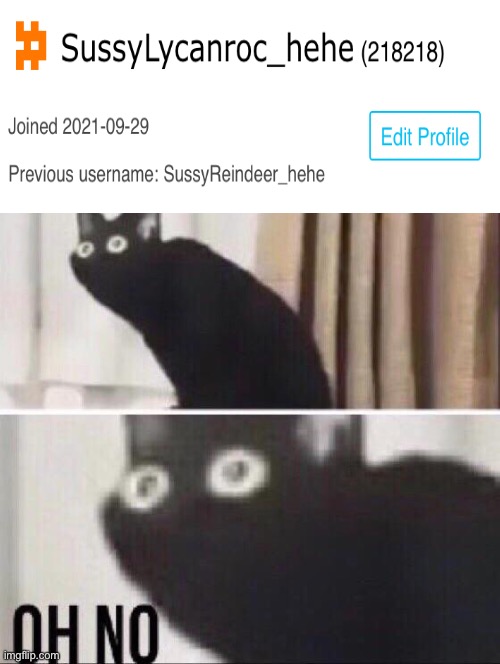 OH NO 218218 | image tagged in oh no cat,dun dun dunnn | made w/ Imgflip meme maker
