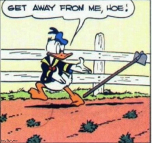 wtf | image tagged in donald duck,hoe | made w/ Imgflip meme maker