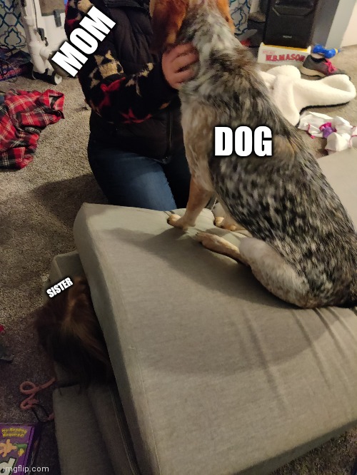 Don't mind the mess that my sister made | MOM; DOG; SISTER | made w/ Imgflip meme maker
