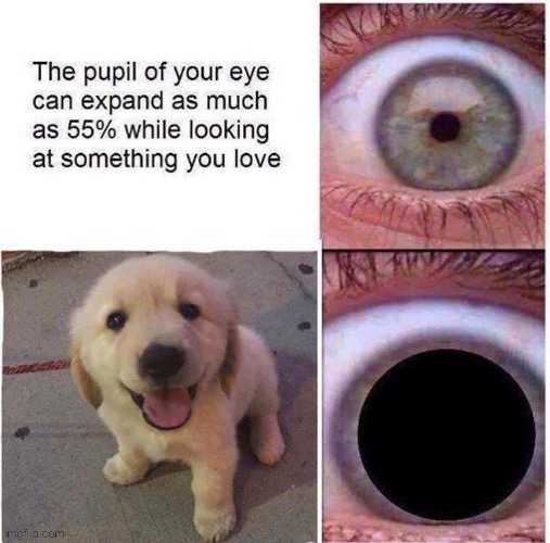 :)) | made w/ Imgflip meme maker