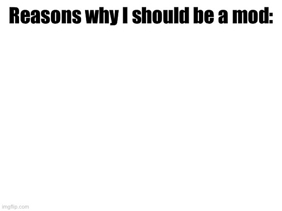 none | Reasons why I should be a mod: | image tagged in blank white template | made w/ Imgflip meme maker