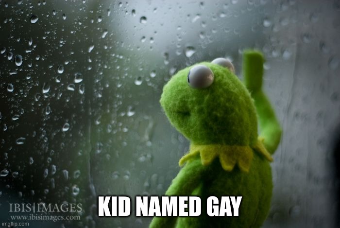 kermit window | KID NAMED GAY | image tagged in kermit window | made w/ Imgflip meme maker