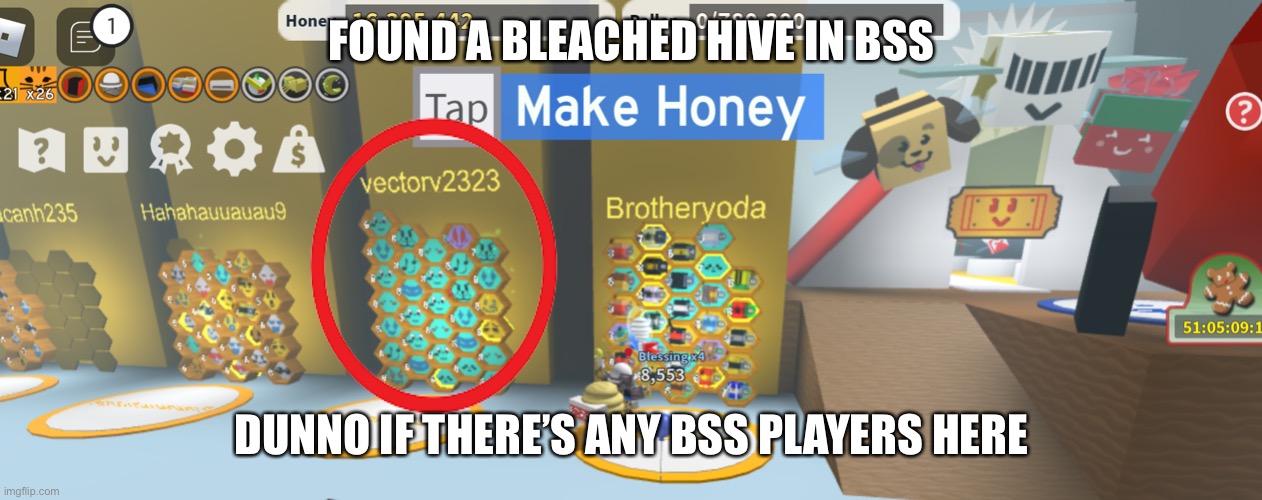 FOUND A BLEACHED HIVE IN BSS; DUNNO IF THERE’S ANY BSS PLAYERS HERE | made w/ Imgflip meme maker