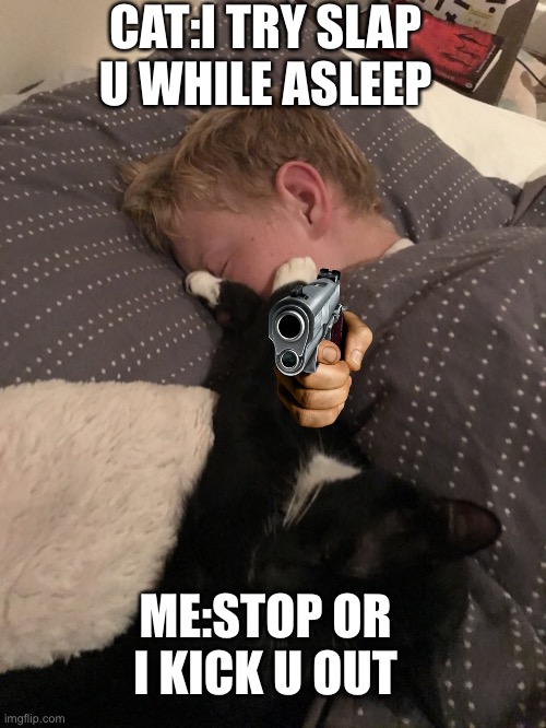 Cat | CAT:I TRY SLAP U WHILE ASLEEP; ME:STOP OR I KICK U OUT | image tagged in cat | made w/ Imgflip meme maker