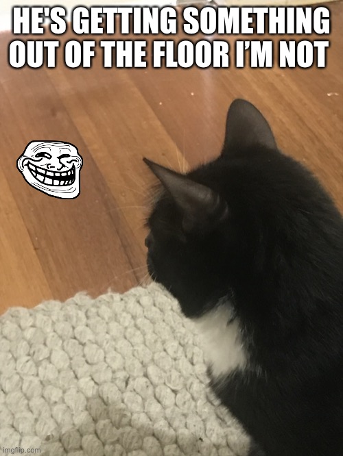 Floor | HE'S GETTING SOMETHING OUT OF THE FLOOR I’M NOT | image tagged in floor | made w/ Imgflip meme maker