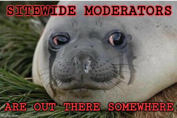 Crying Seal | SITEWIDE MODERATORS ARE OUT THERE SOMEWHERE | image tagged in crying seal | made w/ Imgflip meme maker