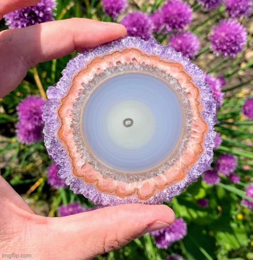 Amethyst Stalactite slice. (An Agate center surrounded by Quartz and Amethyst). | image tagged in amethyst,stalactite,agate,quartz,awesome,gemstones | made w/ Imgflip meme maker