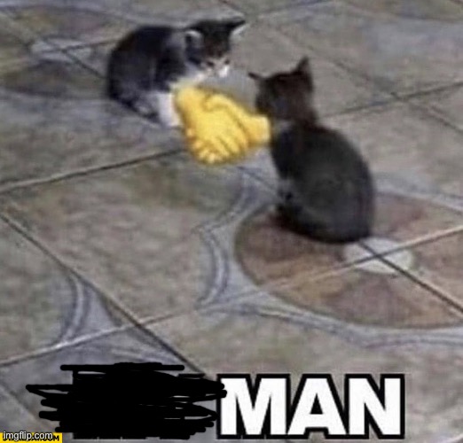 Cats shaking hands | image tagged in cats shaking hands | made w/ Imgflip meme maker