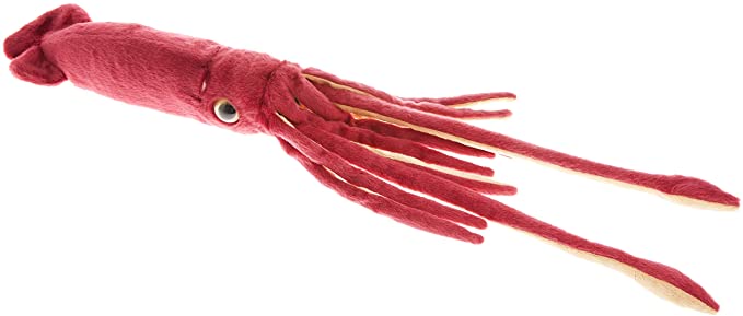 Squid Blank Meme Template